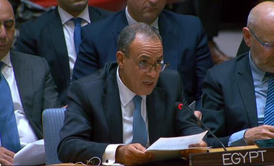 وزير الخارجية المصري بدر عبد العاطي يتحدث في اجتماع مجلس الأمن التابع للأمم المتحدة